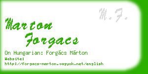 marton forgacs business card